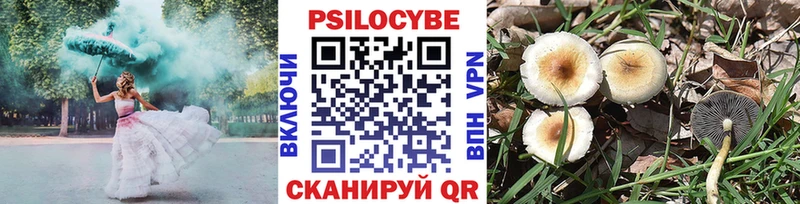 Псилоцибиновые грибы Cubensis  Болотное 